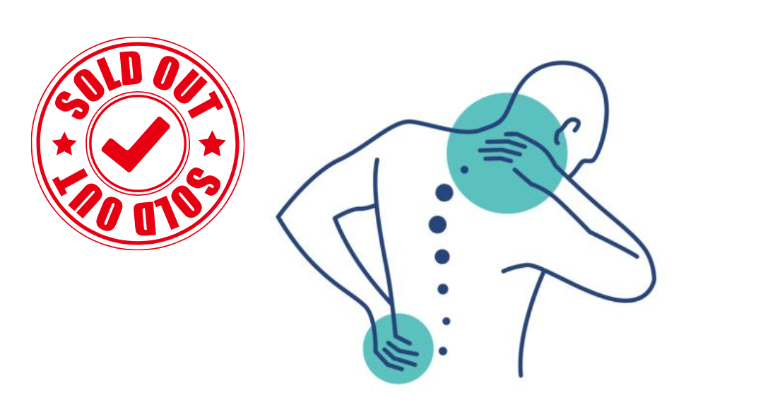 Indian Posture™ Back Alignment Belt